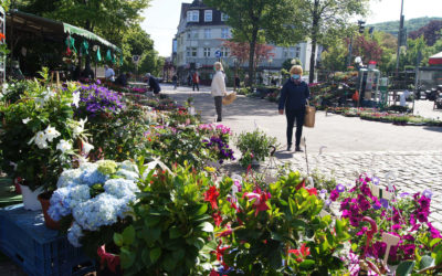 Umfrage zur Zukunft der Gevelsberger Innenstadt